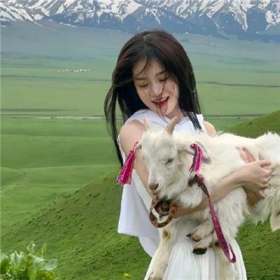 史努比的惊险夏令营